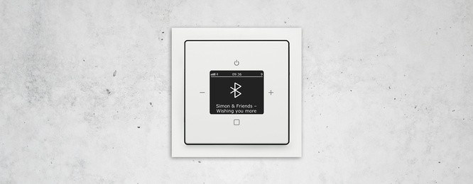 Busch-Radio Btconnect bei Werner Centner in Hanau